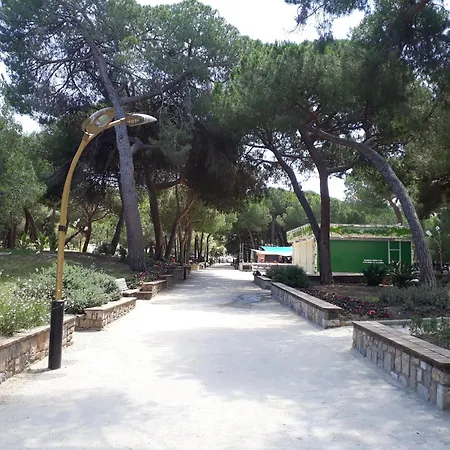 Appartement Palm Azur *